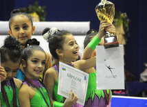 Второй день соревнований ХХ первенства Баку по художественной гимнастике. Баку, Азербайджан, 02 февраля 2013 г.