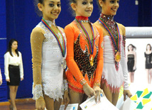 Второй день соревнований ХХ первенства Баку по художественной гимнастике. Баку, Азербайджан, 02 февраля 2013 г.