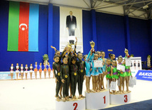 Второй день соревнований ХХ первенства Баку по художественной гимнастике. Баку, Азербайджан, 02 февраля 2013 г.