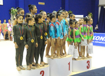 Второй день соревнований ХХ первенства Баку по художественной гимнастике. Баку, Азербайджан, 02 февраля 2013 г.