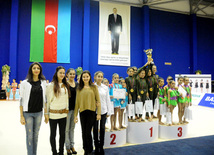 Второй день соревнований ХХ первенства Баку по художественной гимнастике. Баку, Азербайджан, 02 февраля 2013 г.