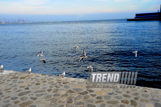 Bakı buxtası. Bakı, Azərbaycan, 06 fevral 2013