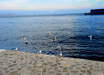 Bakı buxtası. Bakı, Azərbaycan, 06 fevral 2013