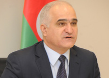 The high level of political relations creates a favorable platform for development of economic relations - Azerbaijani Economic Development Minister Shahin Mustafayev. Baku, Azerbaijan, Feb.09, 2013