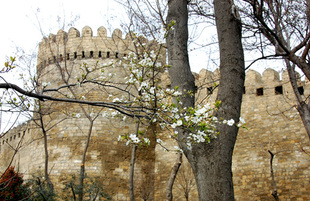 Spring with its warm breath, green costume and mist kerchief. Baku, Azerbaijan, March 28, 2013