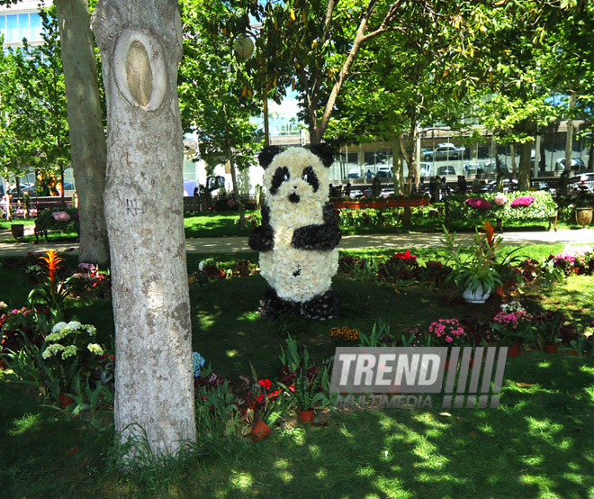 Flower festival in Baku. Baku, Azerbaijan, May 10, 2013