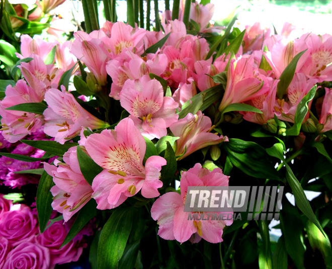 Flower festival in Baku. Baku, Azerbaijan, May 10, 2013