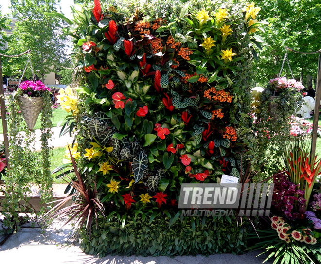 Flower festival in Baku. Baku, Azerbaijan, May 10, 2013