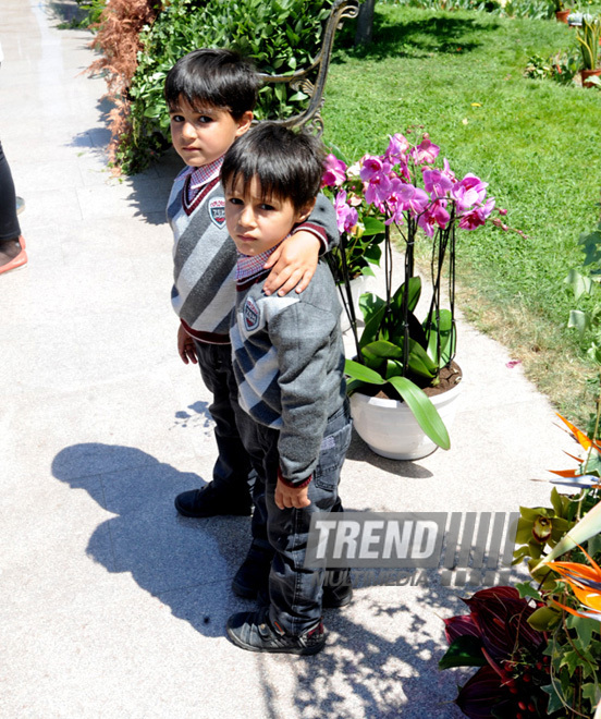 Flower festival in Baku. Baku, Azerbaijan, May 10, 2013