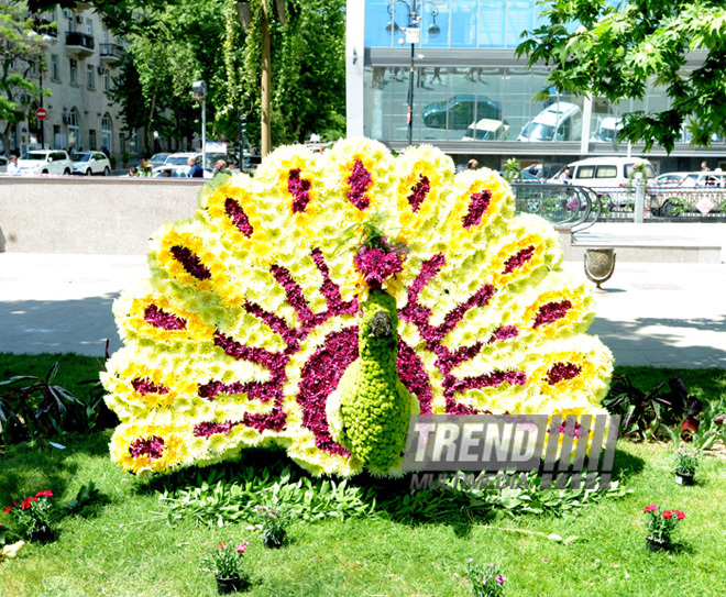 Flower festival in Baku. Baku, Azerbaijan, May 10, 2013