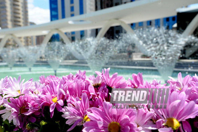 Bakının ən böyük parkı. Azərbaycan, 10 may 2013