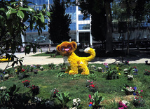 Flower festival in Baku. Baku, Azerbaijan, May 10, 2013