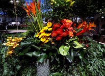 Flower festival in Baku. Baku, Azerbaijan, May 10, 2013