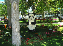 Flower festival in Baku. Baku, Azerbaijan, May 10, 2013