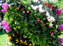 Flower festival in Baku. Baku, Azerbaijan, May 10, 2013