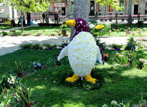 Flower festival in Baku. Baku, Azerbaijan, May 10, 2013