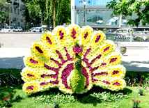 Flower festival in Baku. Baku, Azerbaijan, May 10, 2013