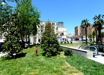 Bakının ən böyük parkı. Azərbaycan, 10 may 2013