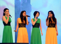 A gala concert and grandios fireworks display held in the National Park. Baku, Azerbaijan, May 10, 2013