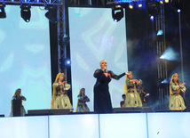 A gala concert and grandios fireworks display held in the National Park. Baku, Azerbaijan, May 10, 2013