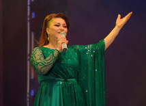 A gala concert and grandios fireworks display held in the National Park. Baku, Azerbaijan, May 10, 2013