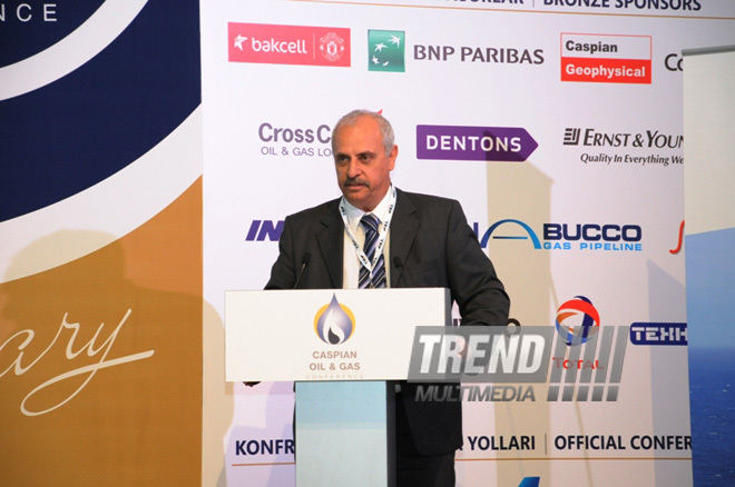 'Caspian Oil and Gas 2013' conference launched in Baku. Baku, Azerbaijan, June 05, 2013