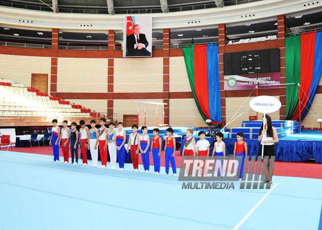 İdman gimnastikası üzrə Azərbaycanın ən güclüləri müəyyənləşdi. Bakı, Azərbaycan, 07 iyun 2013