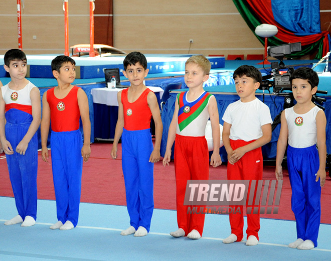 İdman gimnastikası üzrə Azərbaycanın ən güclüləri müəyyənləşdi. Bakı, Azərbaycan, 07 iyun 2013