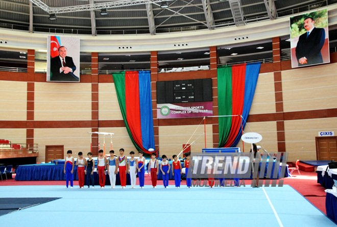 İdman gimnastikası üzrə Azərbaycanın ən güclüləri müəyyənləşdi. Bakı, Azərbaycan, 07 iyun 2013