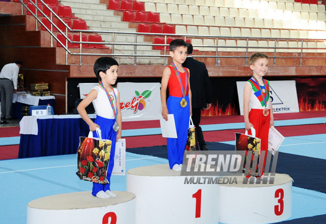 İdman gimnastikası üzrə Azərbaycanın ən güclüləri müəyyənləşdi. Bakı, Azərbaycan, 07 iyun 2013