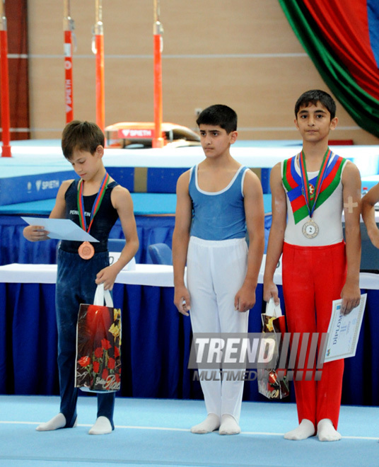 İdman gimnastikası üzrə Azərbaycanın ən güclüləri müəyyənləşdi. Bakı, Azərbaycan, 07 iyun 2013