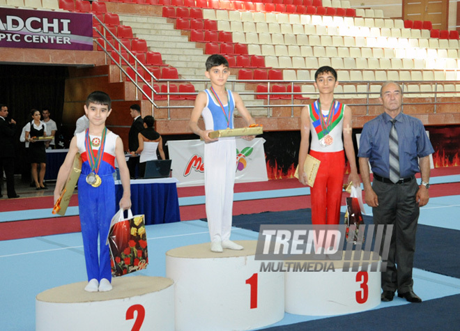 İdman gimnastikası üzrə Azərbaycanın ən güclüləri müəyyənləşdi. Bakı, Azərbaycan, 07 iyun 2013