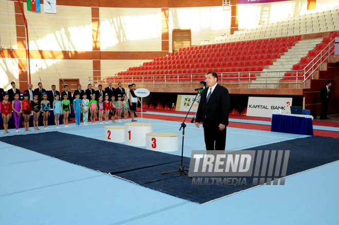 İdman gimnastikası üzrə Azərbaycanın ən güclüləri müəyyənləşdi. Bakı, Azərbaycan, 07 iyun 2013