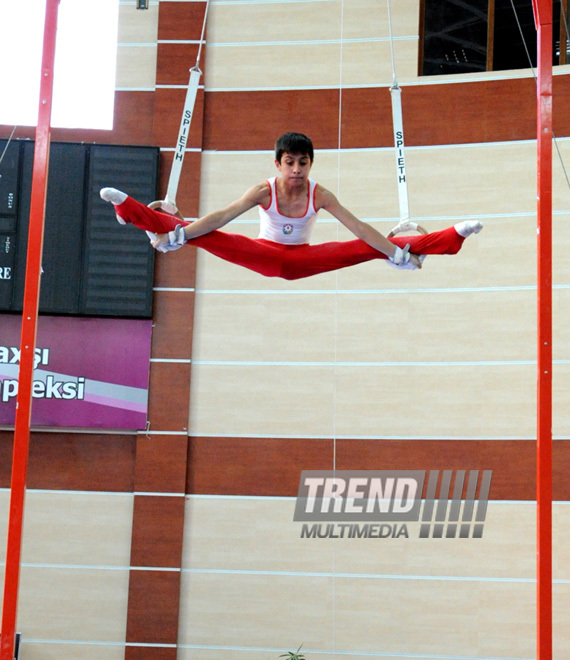 İdman gimnastikası üzrə Azərbaycanın ən güclüləri müəyyənləşdi. Bakı, Azərbaycan, 07 iyun 2013