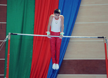 İdman gimnastikası üzrə Azərbaycanın ən güclüləri müəyyənləşdi. Bakı, Azərbaycan, 07 iyun 2013