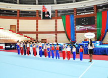 İdman gimnastikası üzrə Azərbaycanın ən güclüləri müəyyənləşdi. Bakı, Azərbaycan, 07 iyun 2013