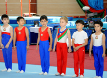 İdman gimnastikası üzrə Azərbaycanın ən güclüləri müəyyənləşdi. Bakı, Azərbaycan, 07 iyun 2013