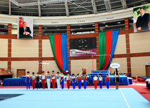 İdman gimnastikası üzrə Azərbaycanın ən güclüləri müəyyənləşdi. Bakı, Azərbaycan, 07 iyun 2013