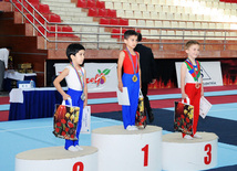 İdman gimnastikası üzrə Azərbaycanın ən güclüləri müəyyənləşdi. Bakı, Azərbaycan, 07 iyun 2013