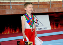 İdman gimnastikası üzrə Azərbaycanın ən güclüləri müəyyənləşdi. Bakı, Azərbaycan, 07 iyun 2013