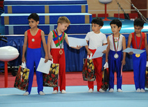 İdman gimnastikası üzrə Azərbaycanın ən güclüləri müəyyənləşdi. Bakı, Azərbaycan, 07 iyun 2013