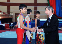 İdman gimnastikası üzrə Azərbaycanın ən güclüləri müəyyənləşdi. Bakı, Azərbaycan, 07 iyun 2013