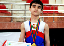 İdman gimnastikası üzrə Azərbaycanın ən güclüləri müəyyənləşdi. Bakı, Azərbaycan, 07 iyun 2013