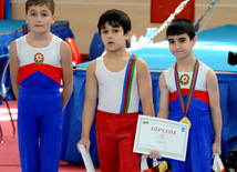 İdman gimnastikası üzrə Azərbaycanın ən güclüləri müəyyənləşdi. Bakı, Azərbaycan, 07 iyun 2013