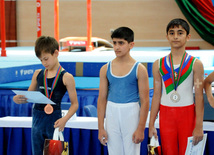 İdman gimnastikası üzrə Azərbaycanın ən güclüləri müəyyənləşdi. Bakı, Azərbaycan, 07 iyun 2013