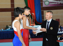 İdman gimnastikası üzrə Azərbaycanın ən güclüləri müəyyənləşdi. Bakı, Azərbaycan, 07 iyun 2013