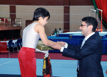 İdman gimnastikası üzrə Azərbaycanın ən güclüləri müəyyənləşdi. Bakı, Azərbaycan, 07 iyun 2013