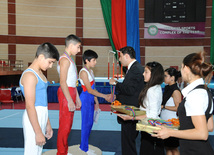 İdman gimnastikası üzrə Azərbaycanın ən güclüləri müəyyənləşdi. Bakı, Azərbaycan, 07 iyun 2013