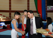 İdman gimnastikası üzrə Azərbaycanın ən güclüləri müəyyənləşdi. Bakı, Azərbaycan, 07 iyun 2013