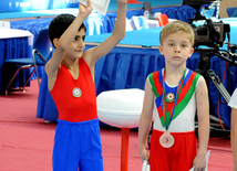 İdman gimnastikası üzrə Azərbaycanın ən güclüləri müəyyənləşdi. Bakı, Azərbaycan, 07 iyun 2013